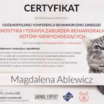 Diagnostyka i terapia zaburzeń kotów niewychodzących